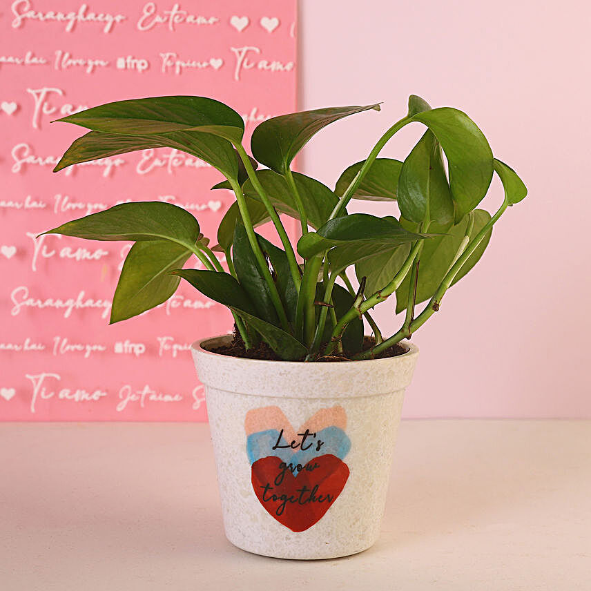 Money Plant In Grow Together Vase Hand Delivery:Valentine Gifts for Husband