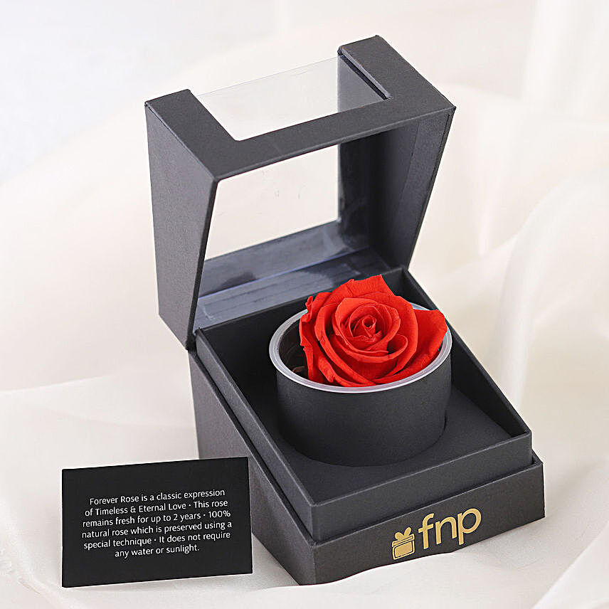Red Forever Rose Gift Box Hand Delivery