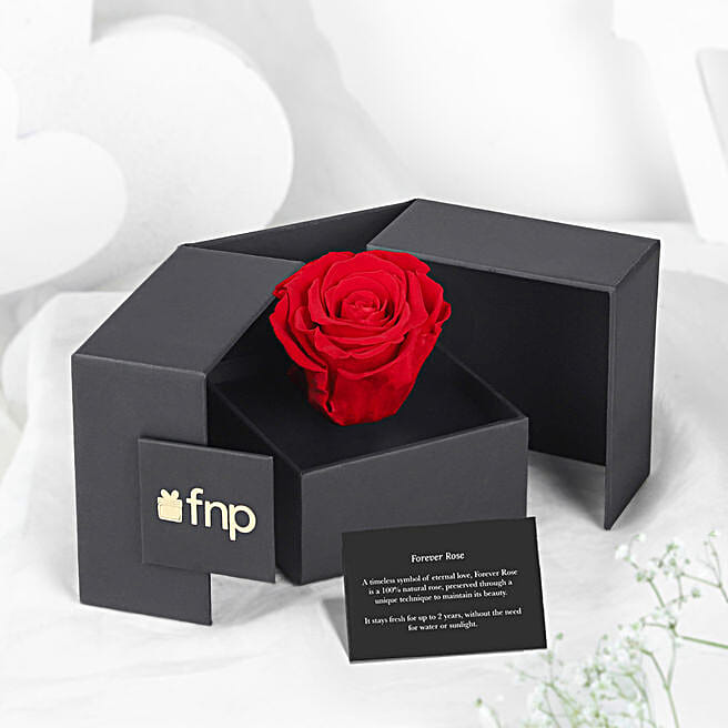 Buy/Send Red Forever Rose Gift Box Online FNP