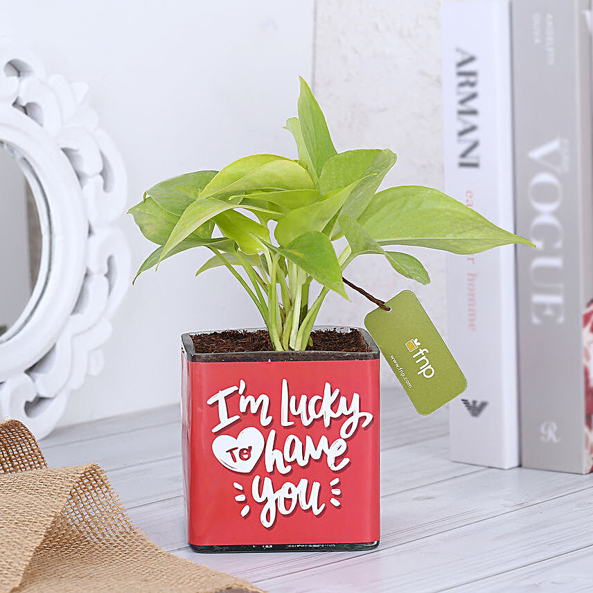 Money Plant In Lucky To Have You Glass Pot