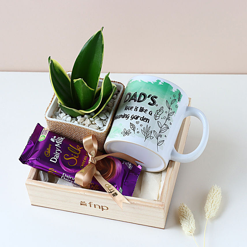 Purifying Plant & Sweet Treats Hamper for Dad