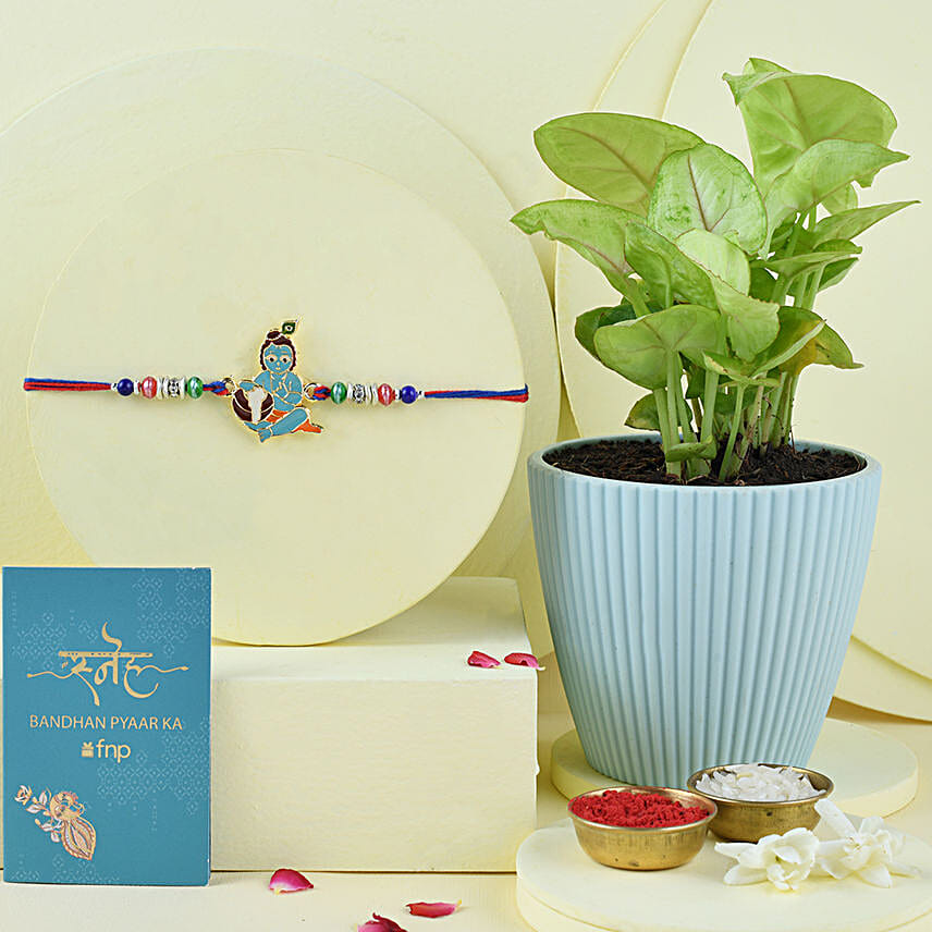 Sneh Bal Krishna Rakhi with Syngonium Plant