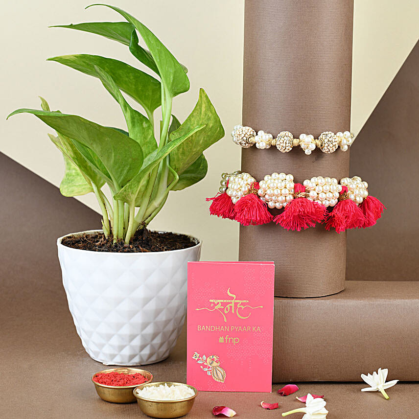 Sneh Designer Pearl Rakhi with Money Plant