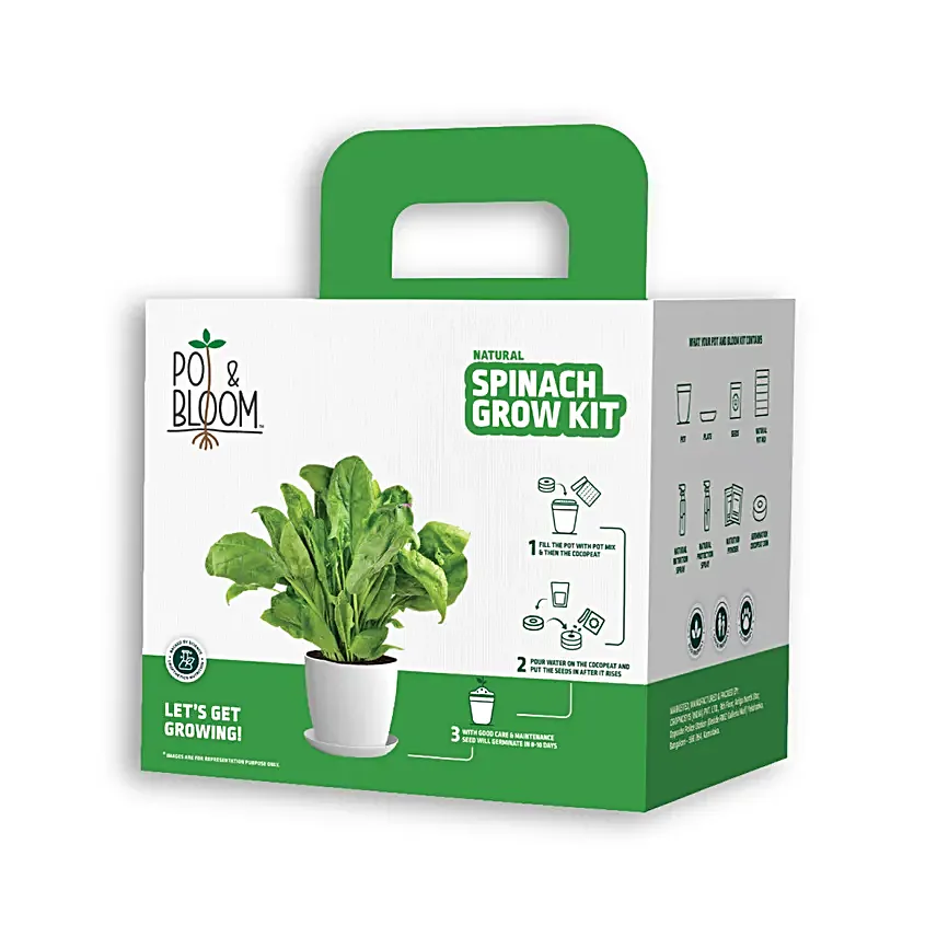 Spinach DIY Grow Kit