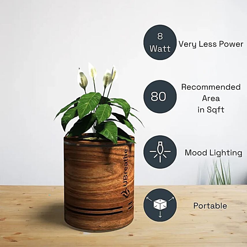 UBreathe Air Purifying Plant Pot