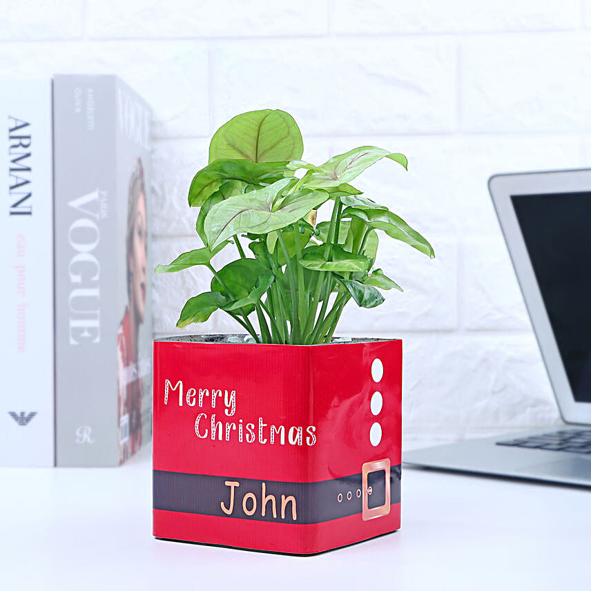 Christmas Syngonium Mug Garden