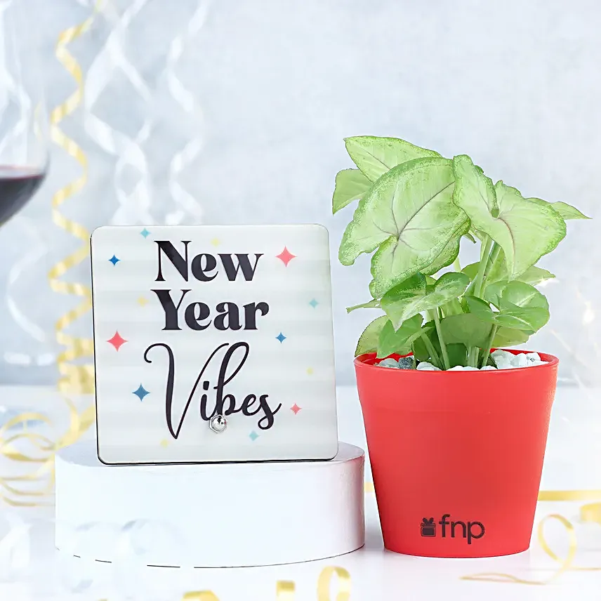New Year Gift Of Green Promise
