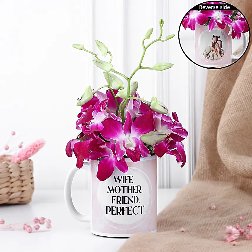 Orchids in mug