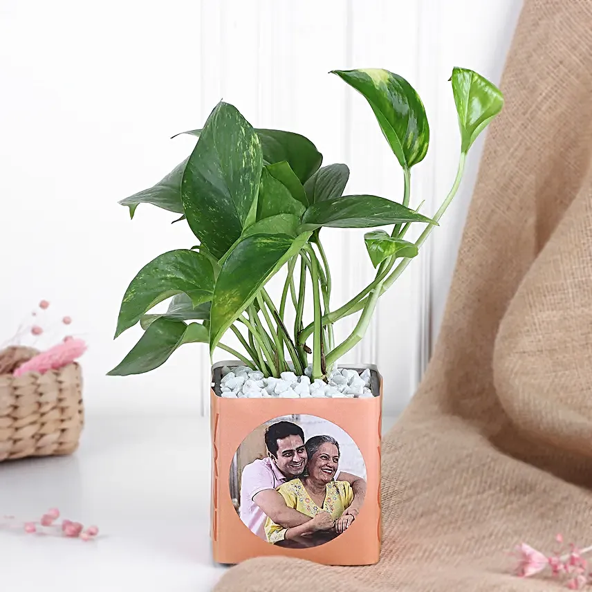 Personalised Money Plant Vase