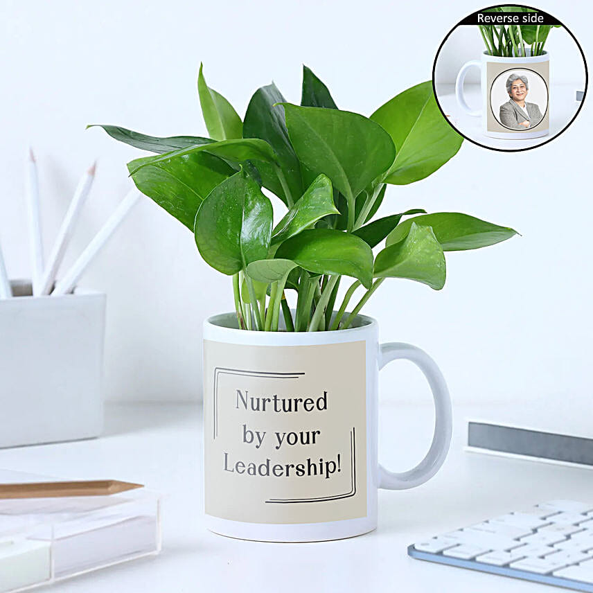 Money Plant Gift Set For Boss Day