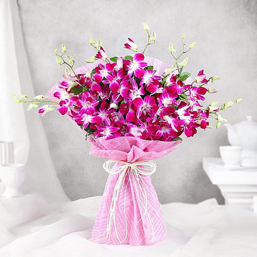 Purple Orchid Delight