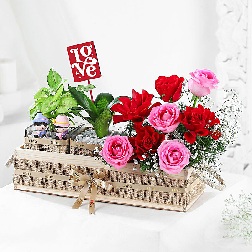 Evergreen Romance Plant Duo