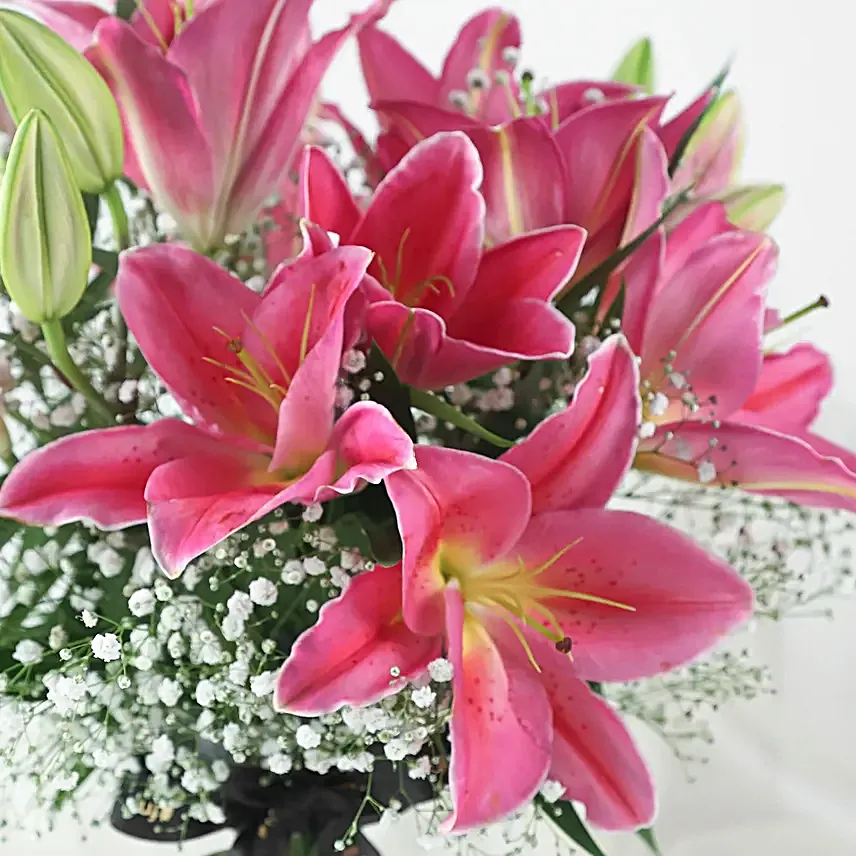 5 Pink Oriental Lilies Online