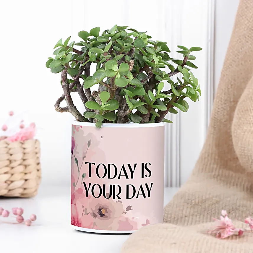 Jade Plant In Today Is Your Day Vase