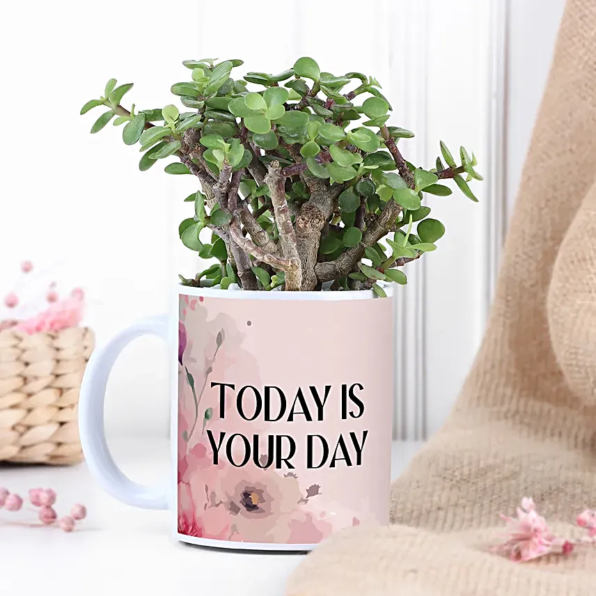 Jade Plant In Today Is Your Day Vase