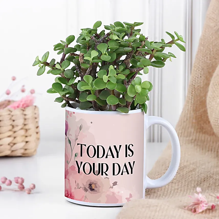 Jade Plant In Today Is Your Day Vase