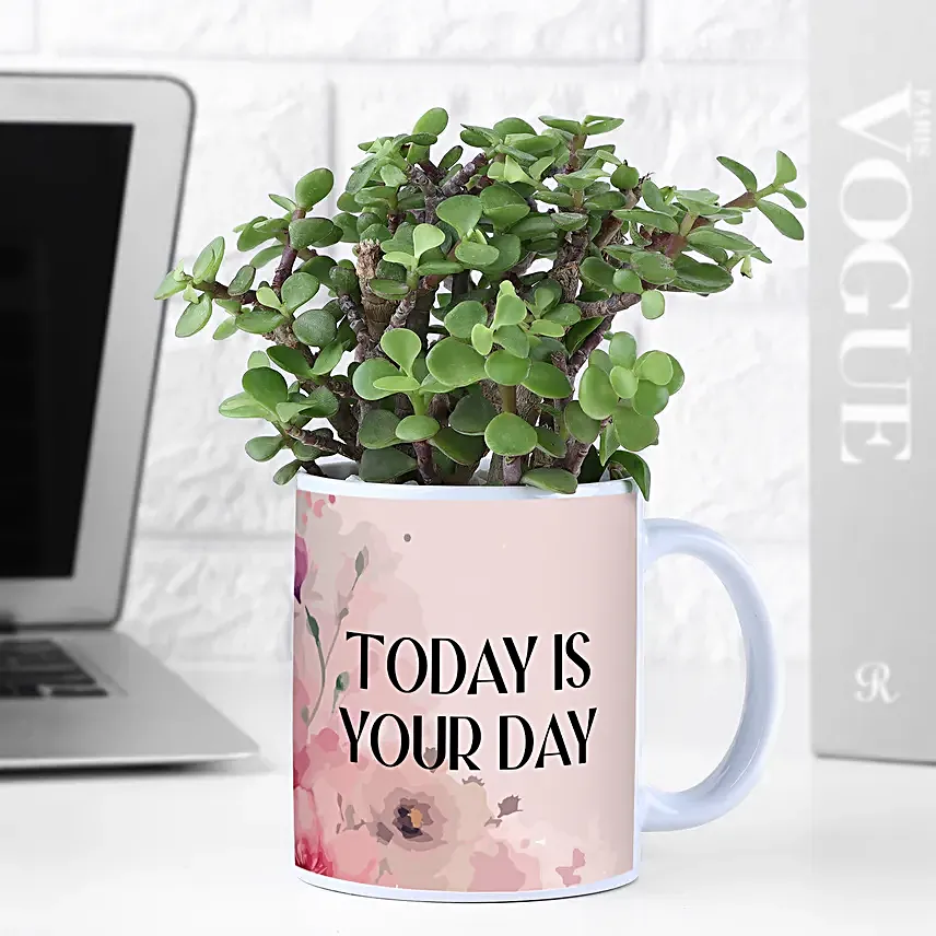 Jade Plant In Today Is Your Day Vase