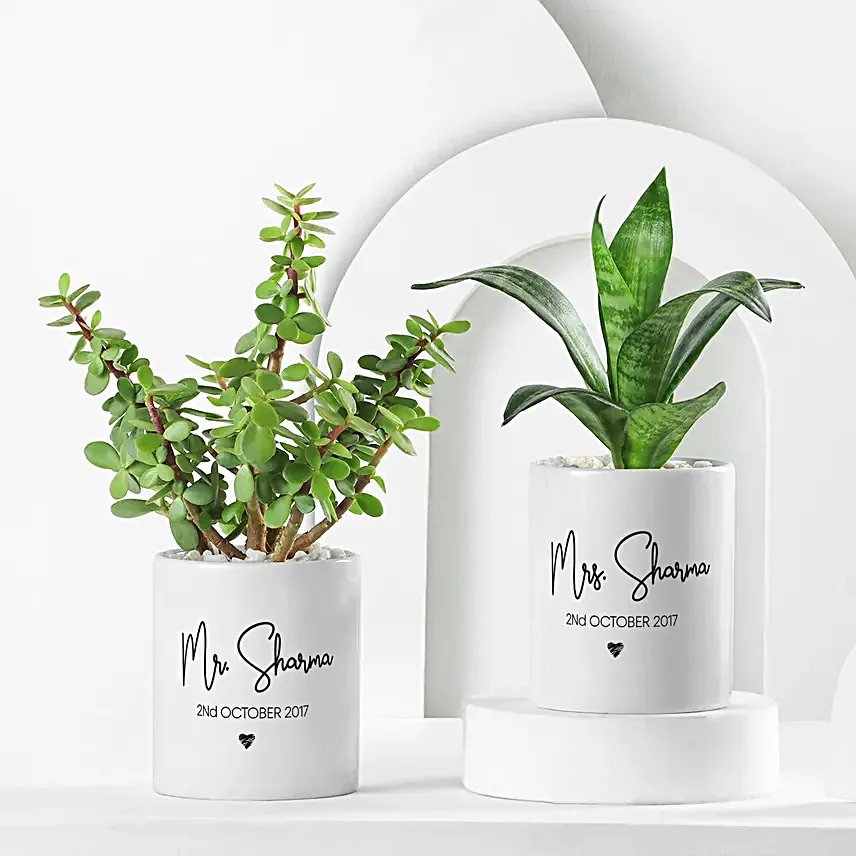 Green Beauties In Personalised Mr N Mrs Mug Set
