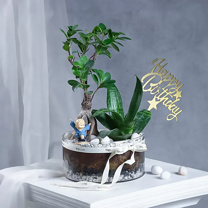 Buddhas Green Garden Birthday Gift