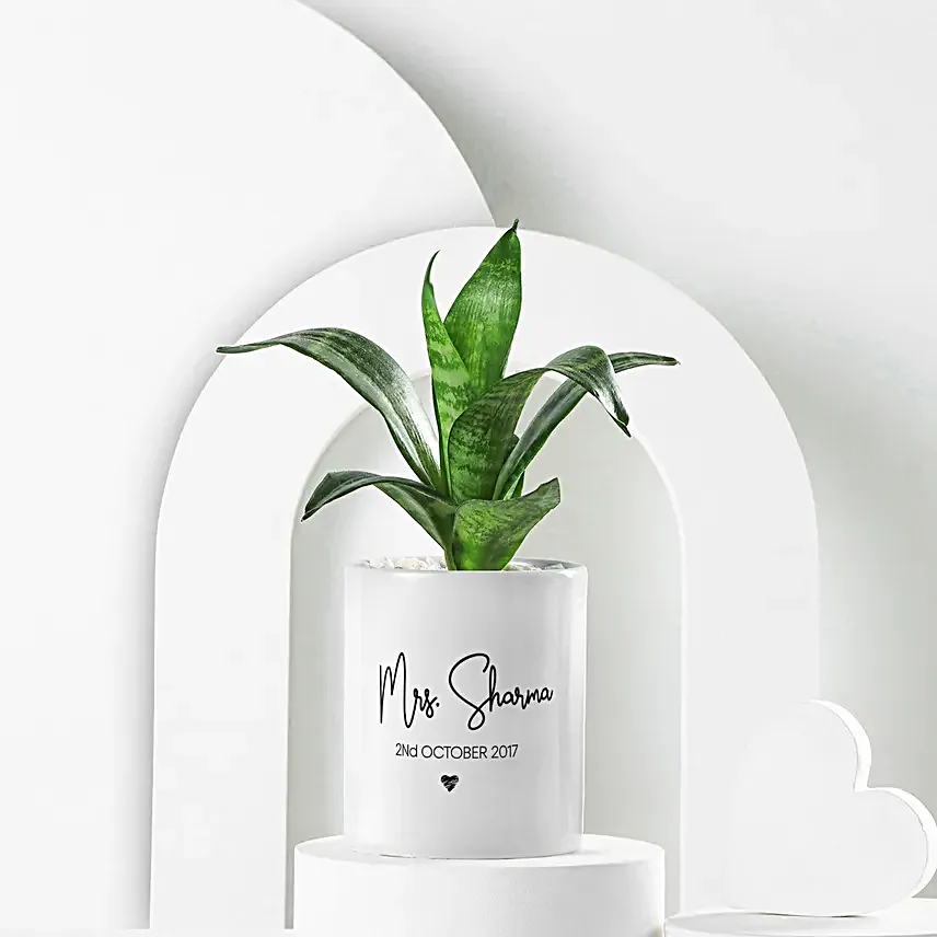 Sanseveiria Plant In Personalised Gift Mug For Wife