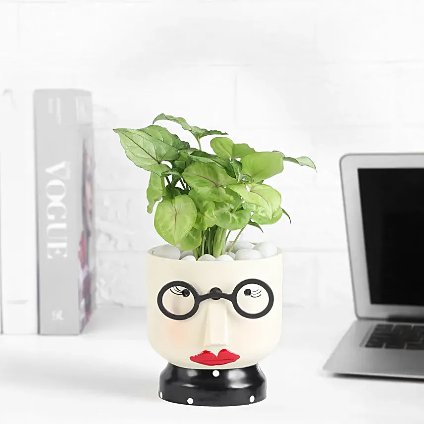 Quirky Miss Green Planter