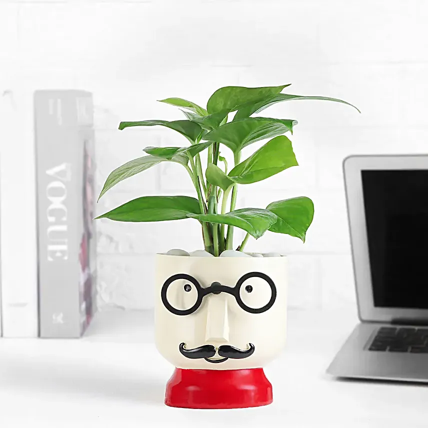 The Mustache Buddy Planter