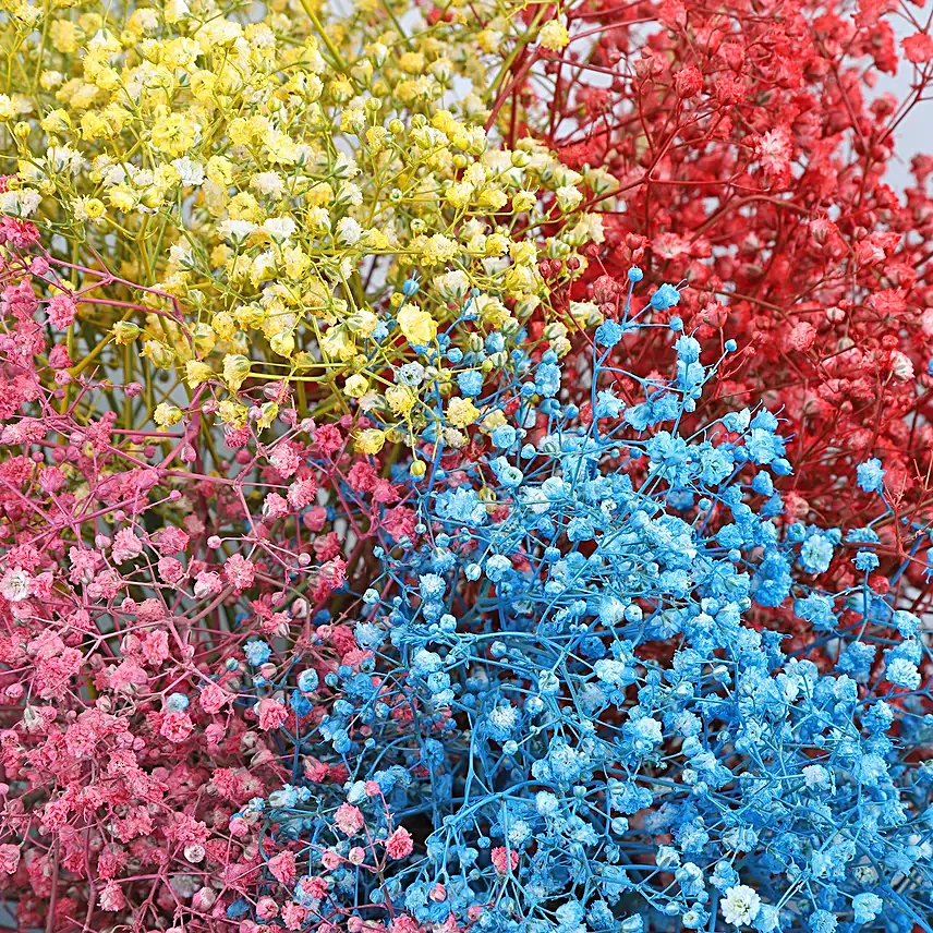 Holi Bliss Colour Burst Bouquet