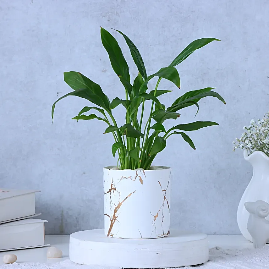 Peace Lily Plant In Blingy Marble Design Pot
