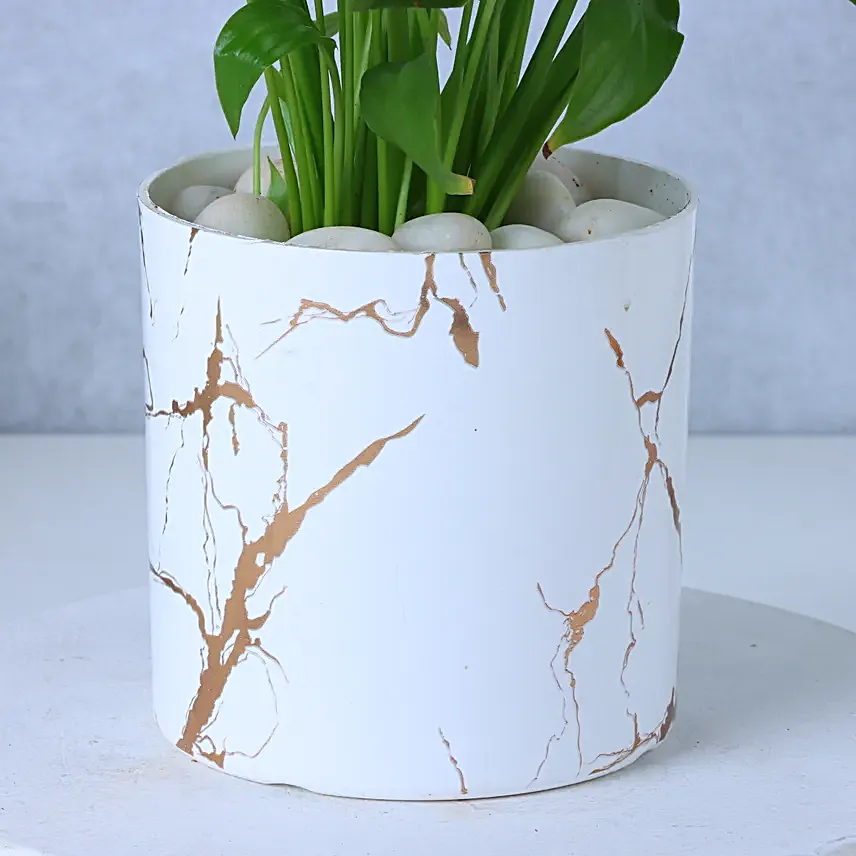 Peace Lily Plant In Blingy Marble Design Pot