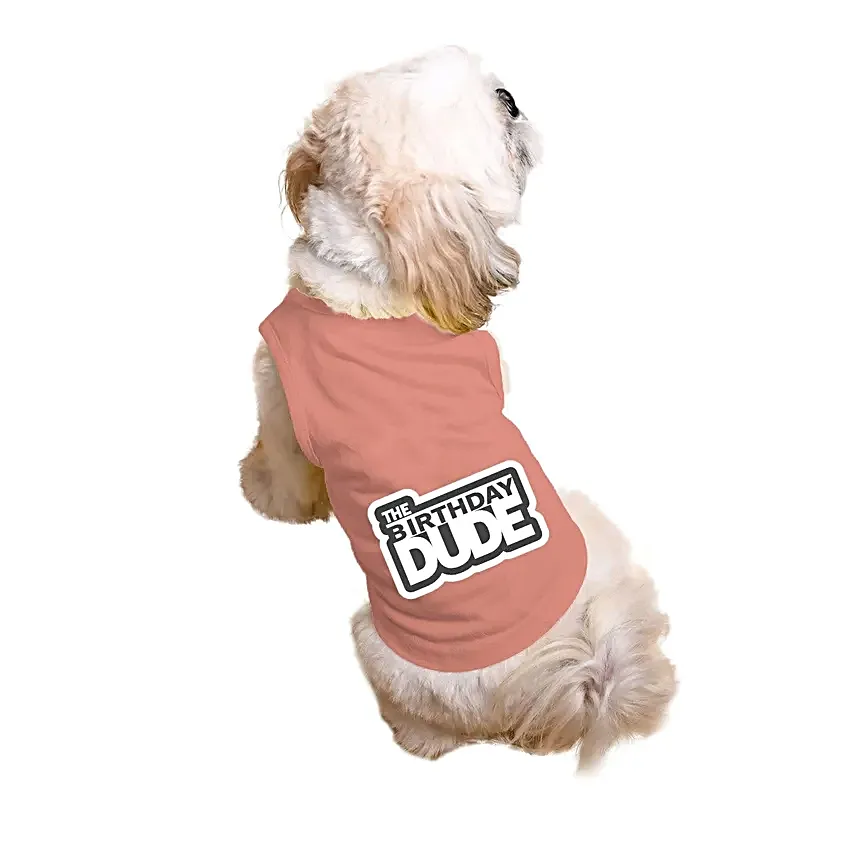 Ruse The Birthday Dude Tank T Shirt For Dogs S