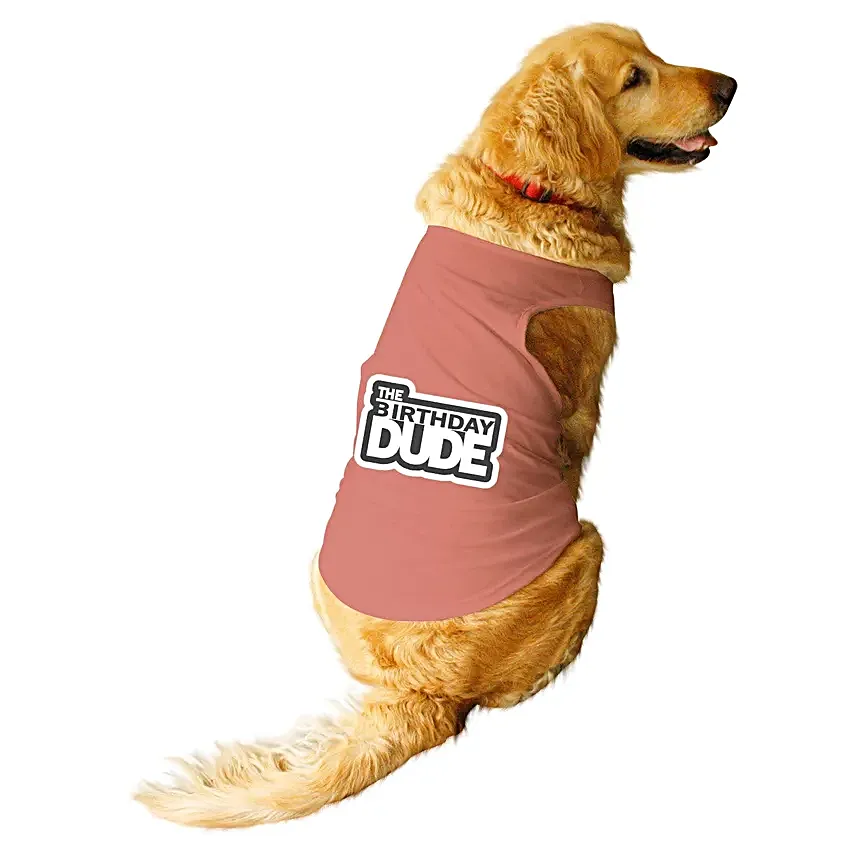 Ruse The Birthday Dude Tank T Shirt For Dogs S