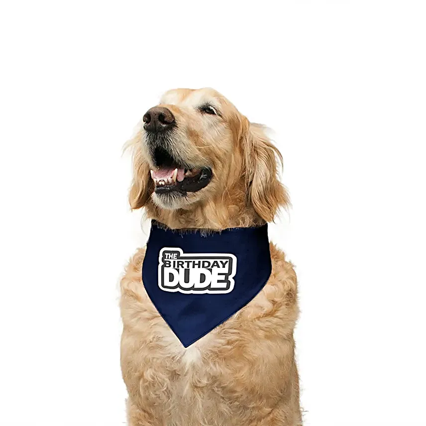 Ruse The Birthday Dude Reversible Dog Bandana S