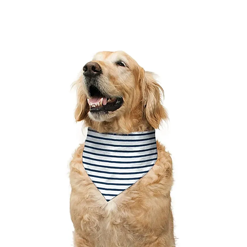Ruse The Birthday Dude Reversible Dog Bandana S
