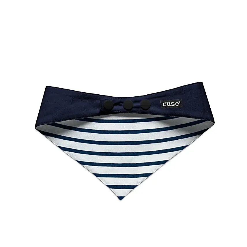 Ruse The Birthday Dude Reversible Dog Bandana S