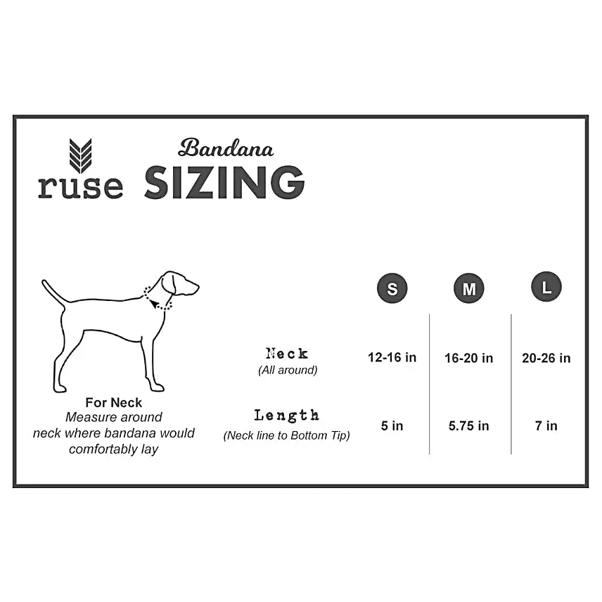 Ruse The Birthday Dude Reversible Dog Bandana S