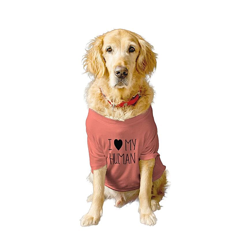 Ruse I Love My Human Summer T Shirt For Dogs S