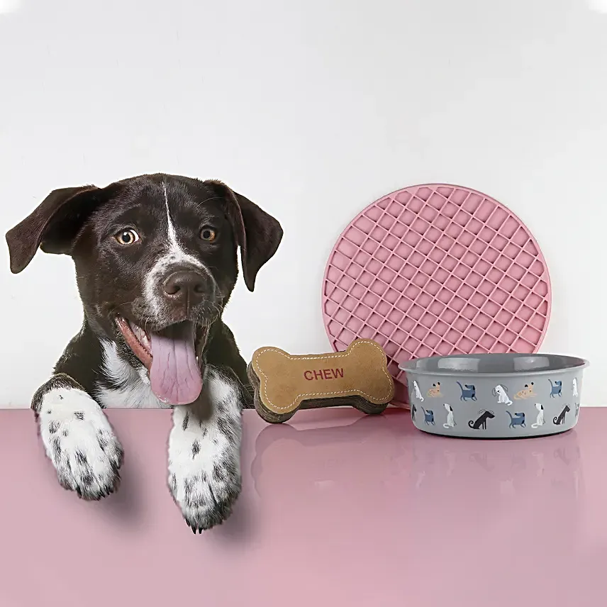 Pawpourri Gift Hamper For Dogs