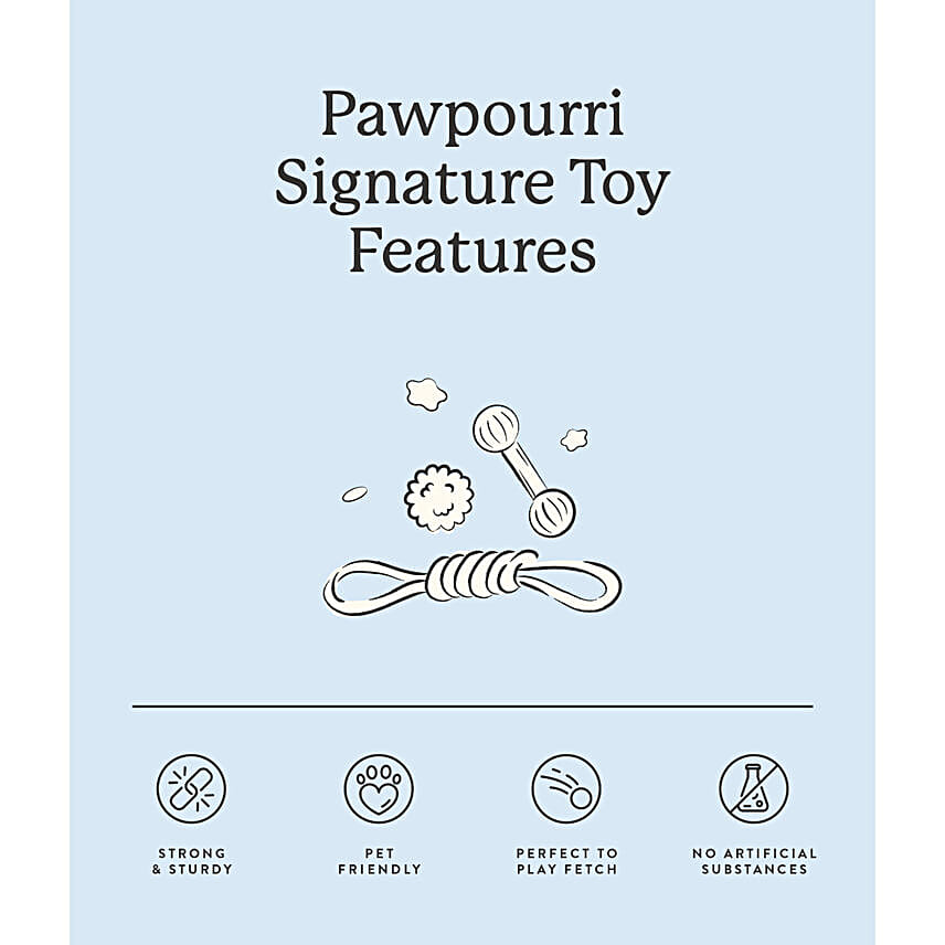 Pawpourri Leather Chew Toy For Dogs