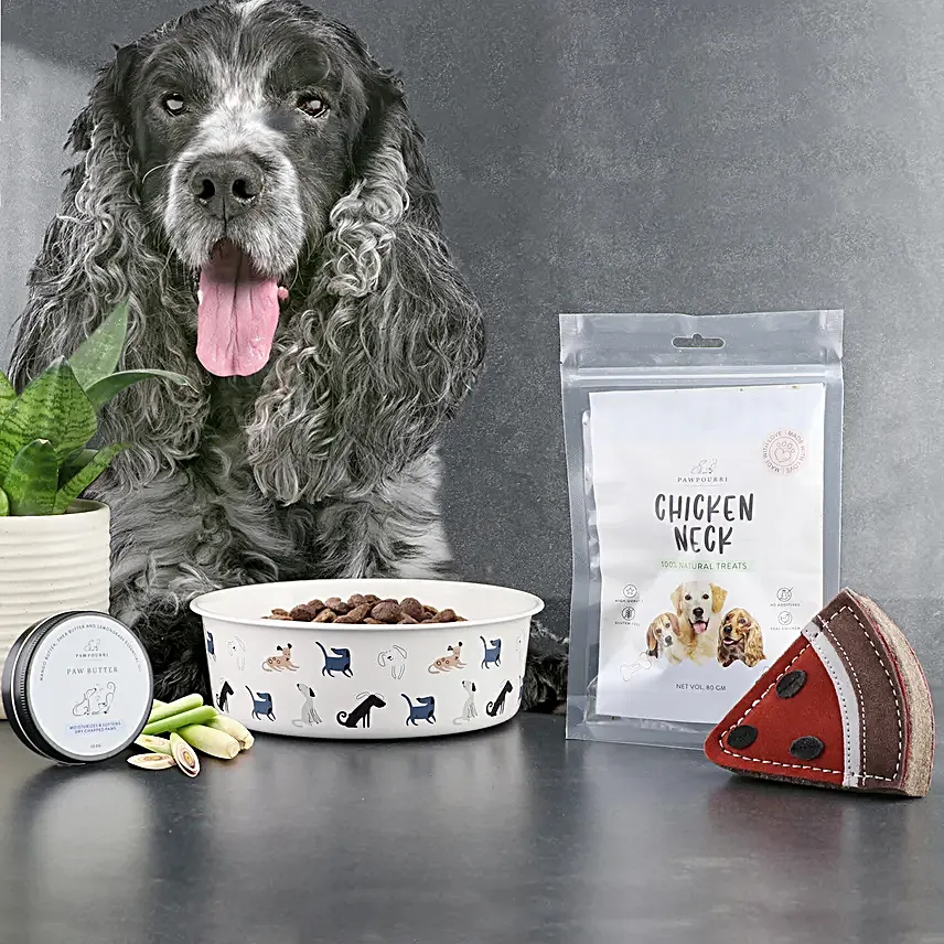 Pawpourri Pawsome Hamper For Dogs
