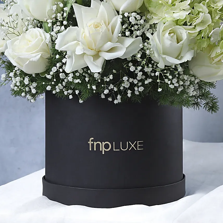 Luminous White Ensemble
