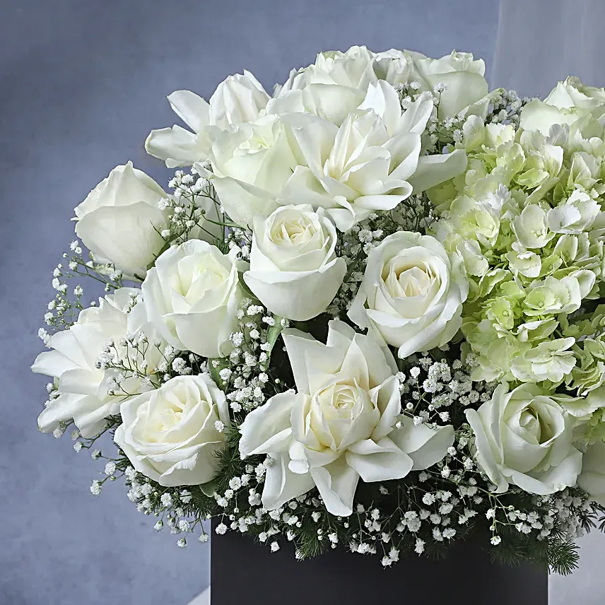 Luminous White Ensemble