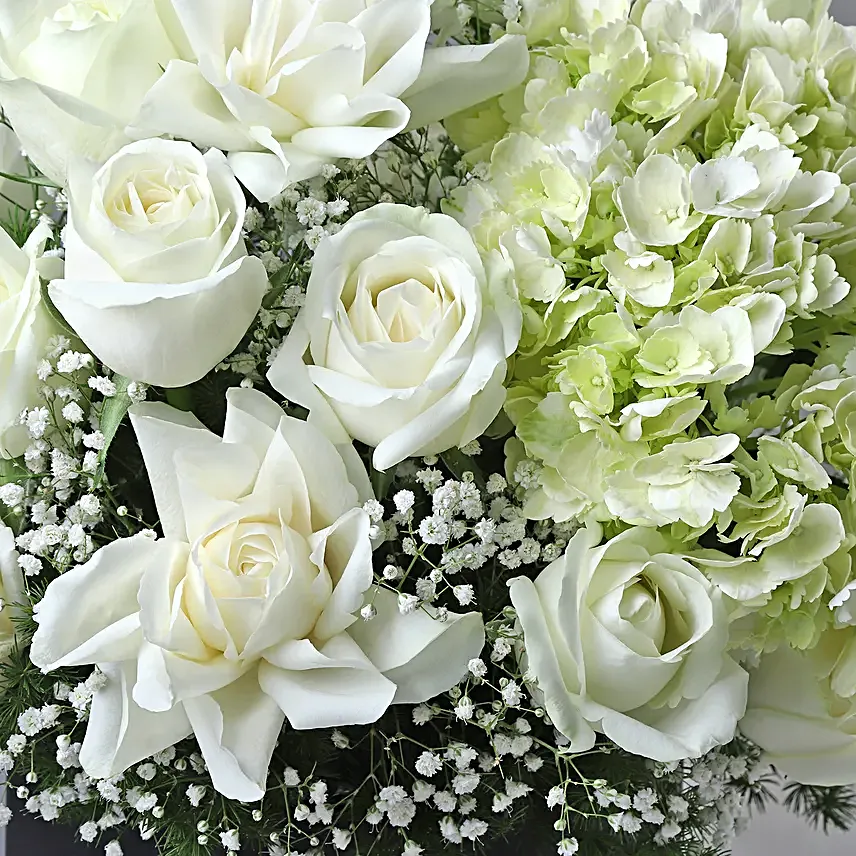 Luminous White Ensemble