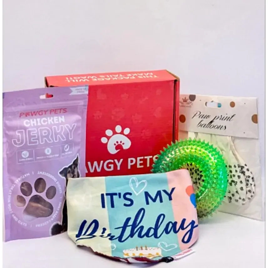 Pawgy Pets Paw some Birthday Box S