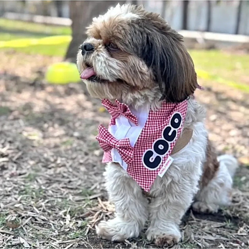 Pawgy Pets Personalised Classic Check Bandana S