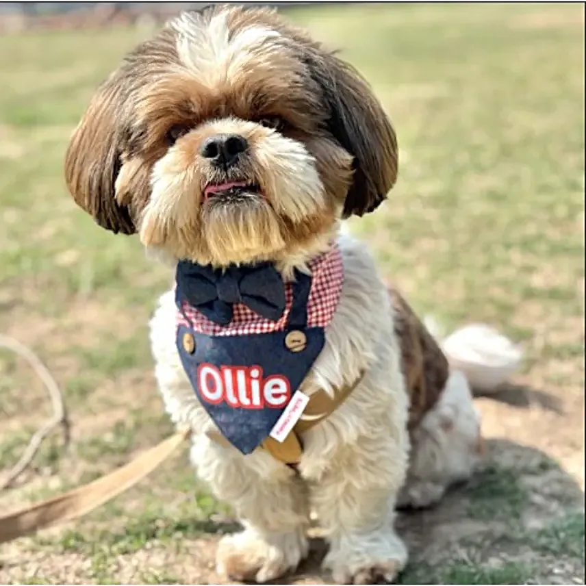 Pawgy Pets Chic Personalised Dungaree Bandana S