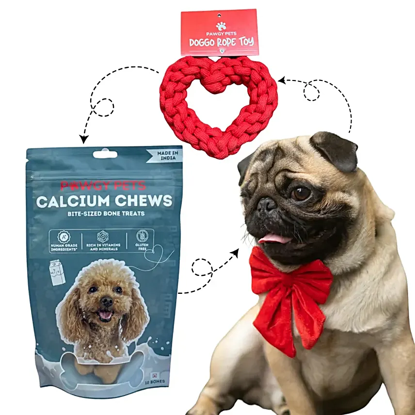 Pawgy Pets Cupid Pet Gift Box