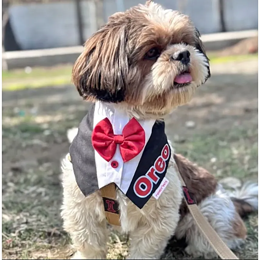Pawgy Pets Personalised Gentleman Tux Bandana S