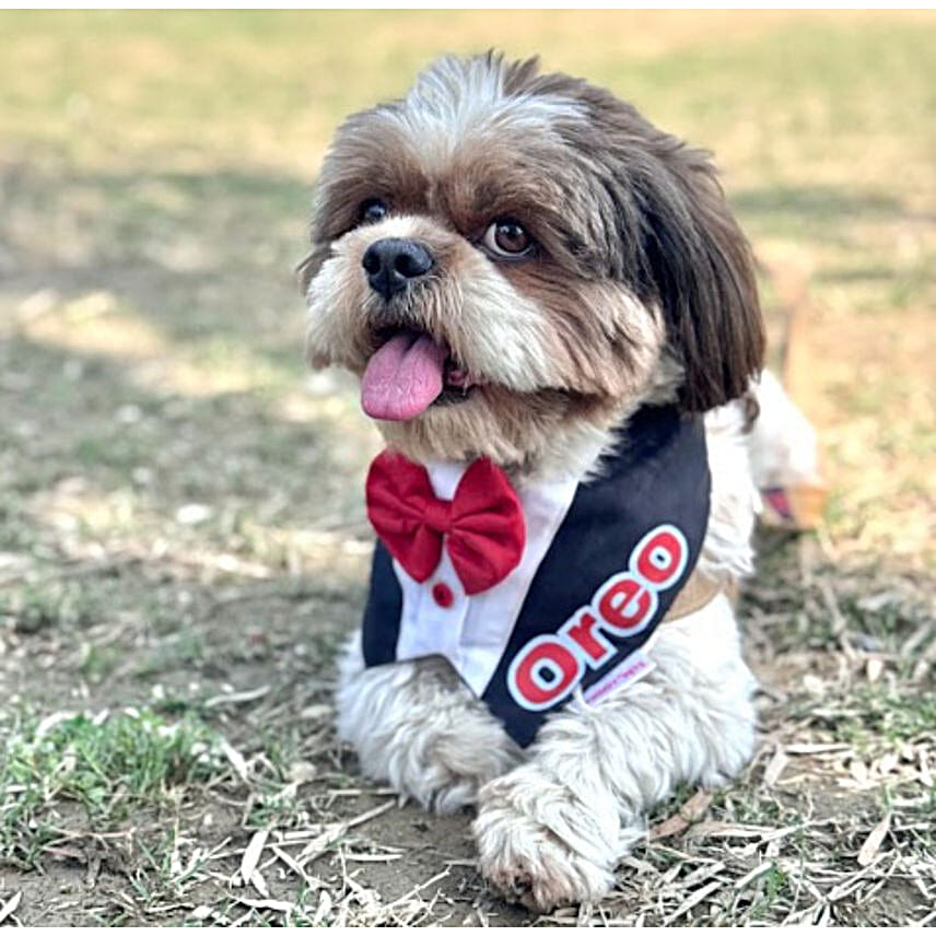 Pawgy Pets Personalised Gentleman Tux Bandana S
