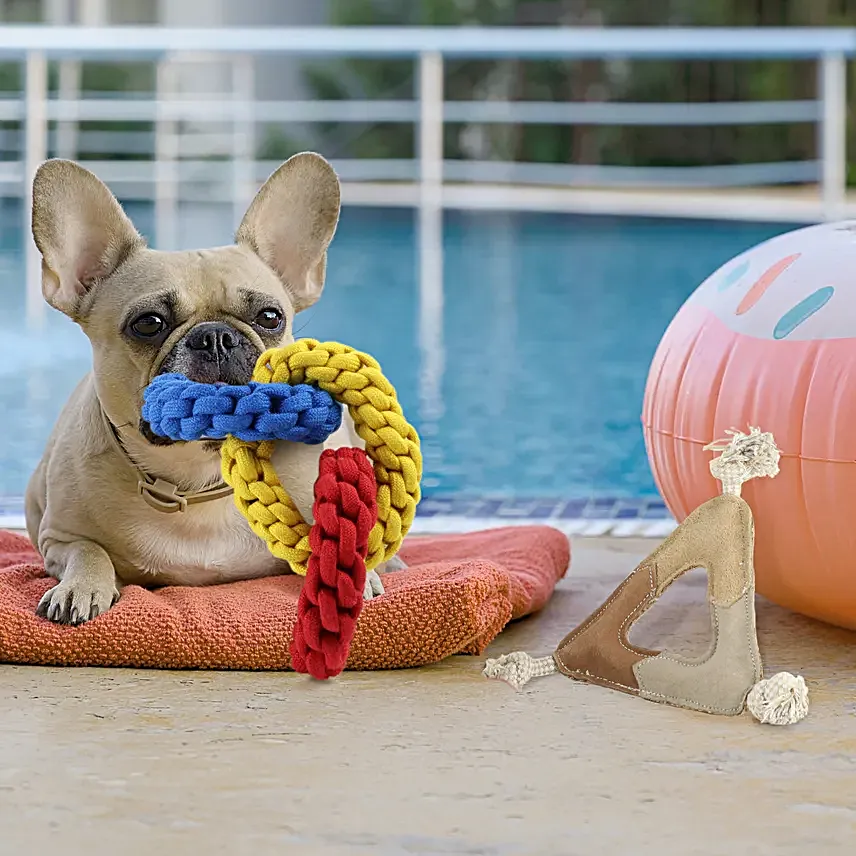 Pawpourri Playtime Special Dog Hamper