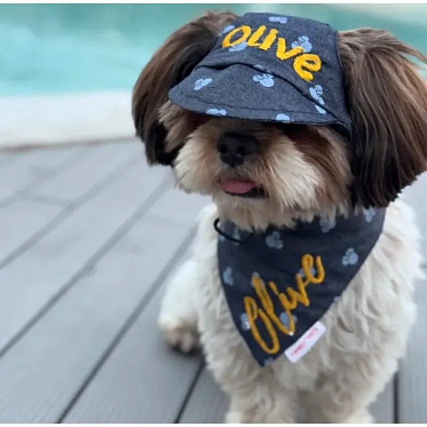 Pawgy Pets Personalised Minnie Denim Set S